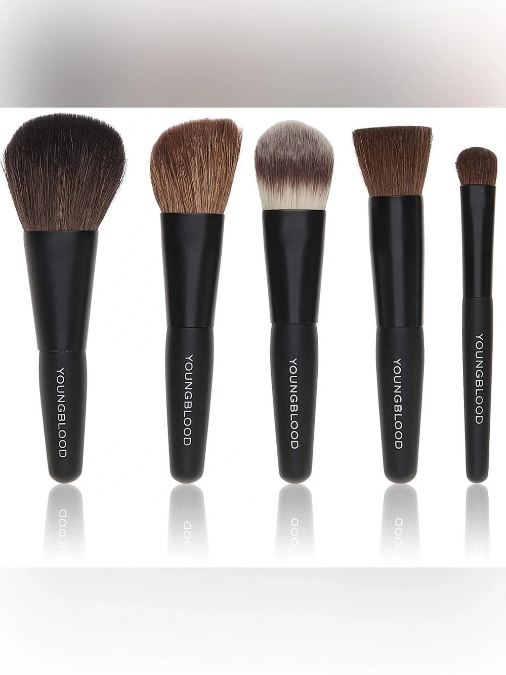Youngblood Professional mini 6pc brush set